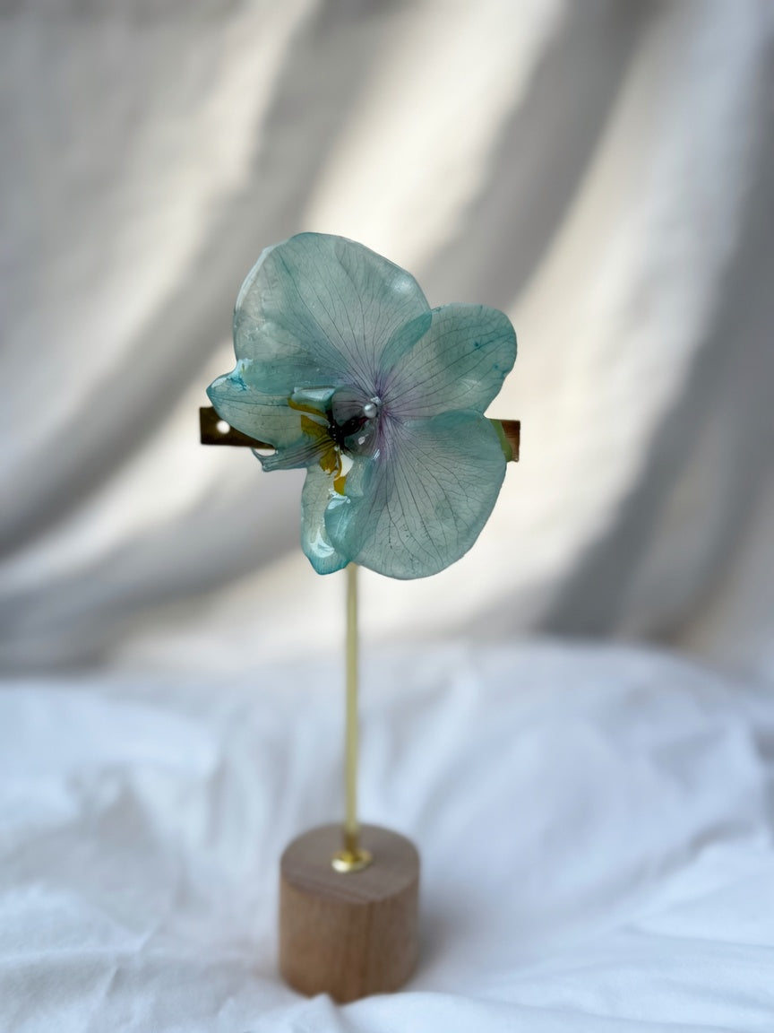 Orquídea turquesa
