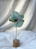 Orquídea turquesa