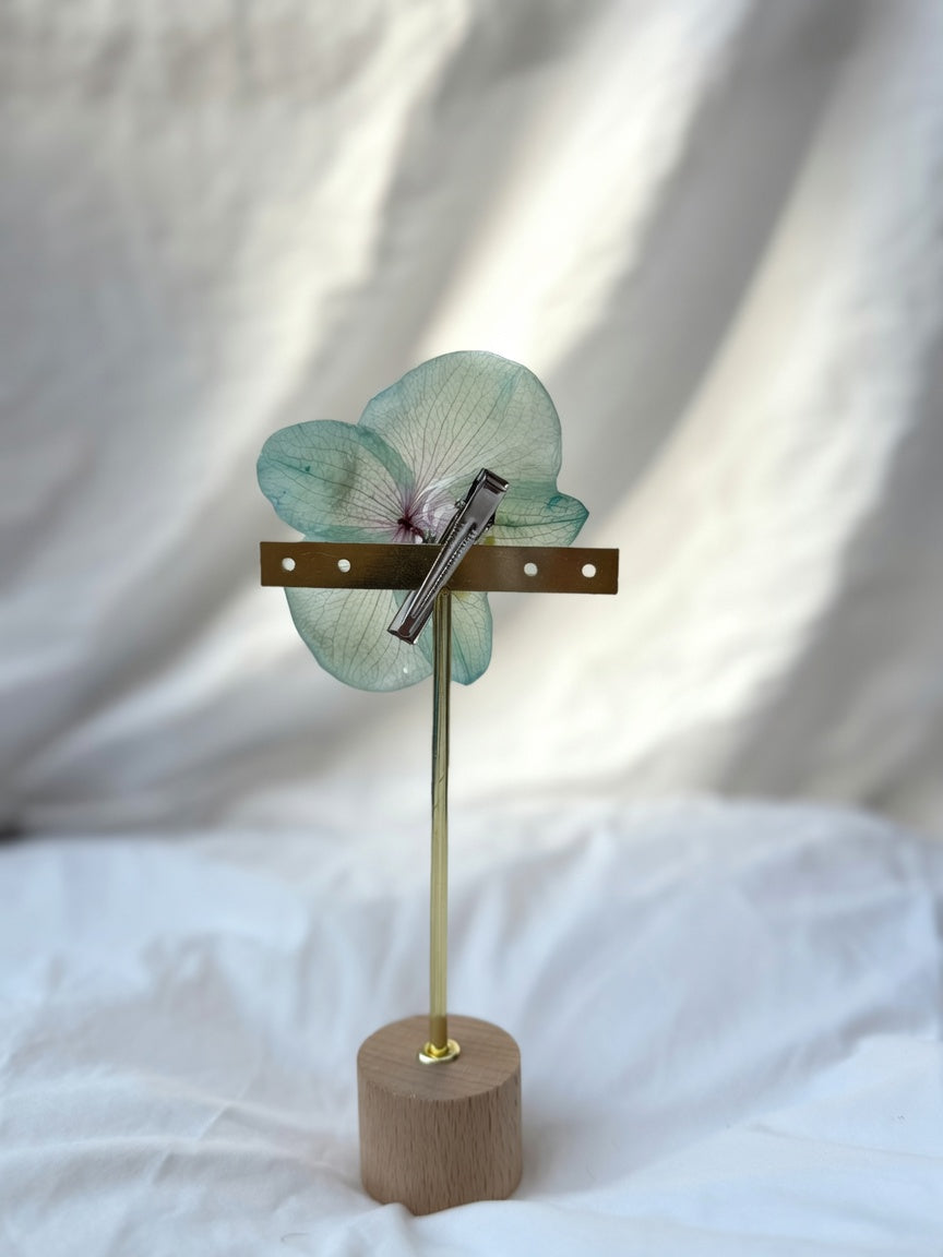 Orquídea turquesa