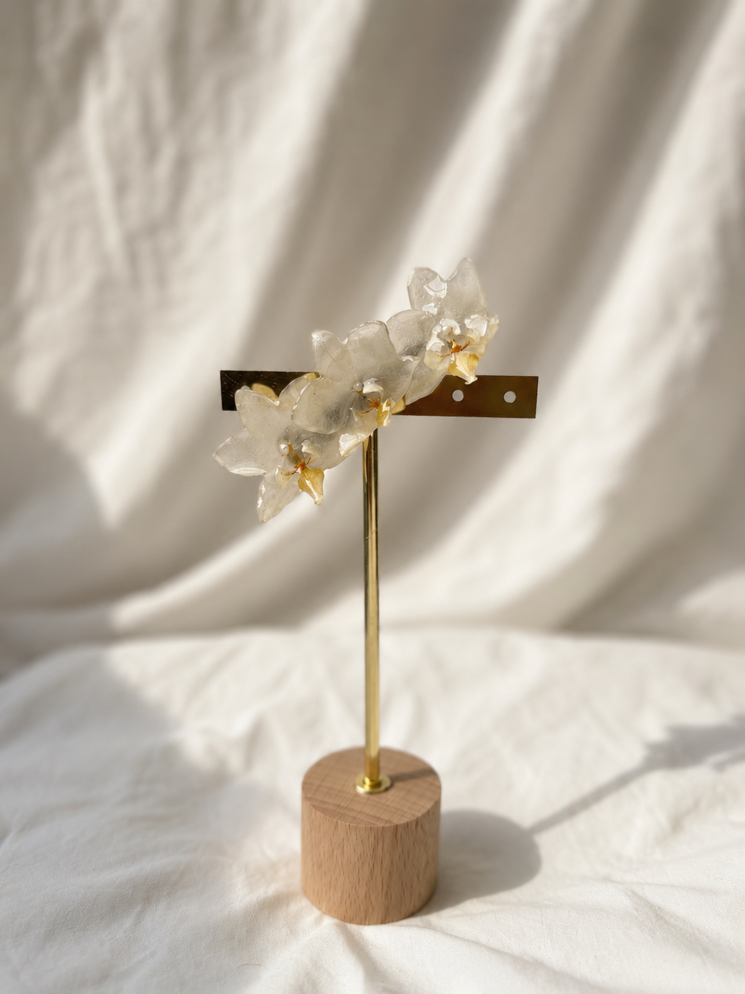 Orquídeas mini blancas