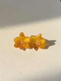 Orquídea mini amarilla