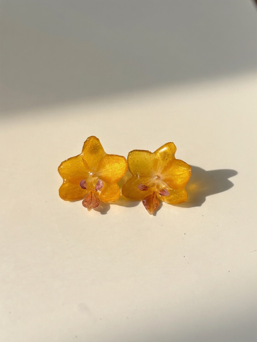 Orquídea mini amarilla