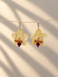 Aritos de orquídea mini amarillo suave