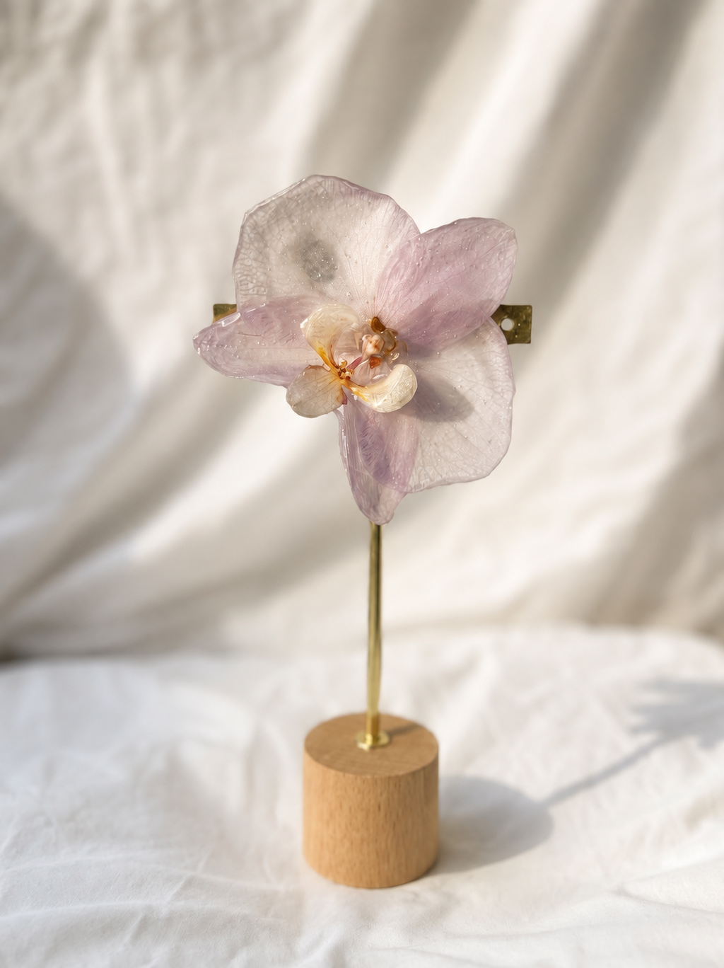 Orquídea malva detalles