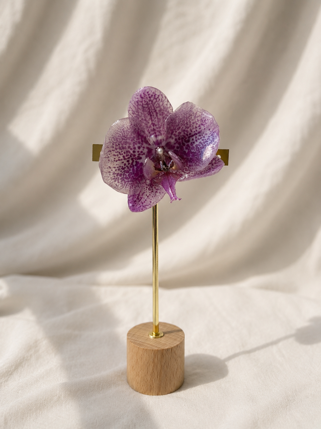 Orquídea morada