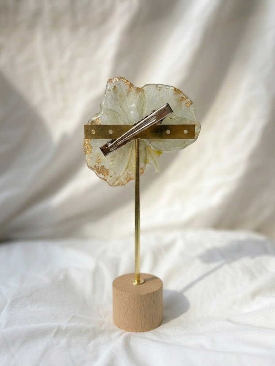 Orquídea gold