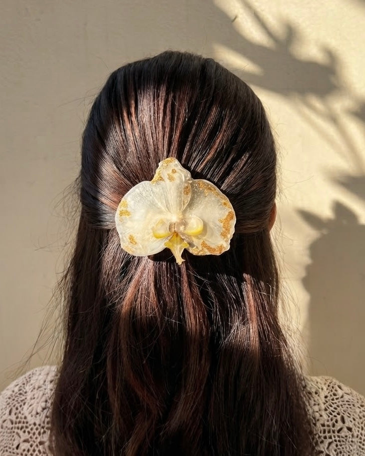 Orquídea gold